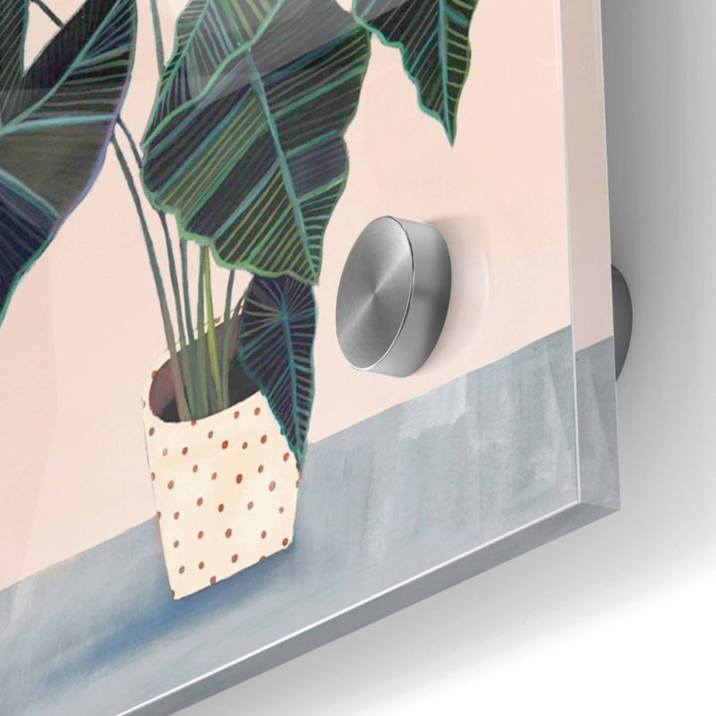 Art mural en verre acrylique, 36 po x 36 po Houseplant II »par Victoria Borges