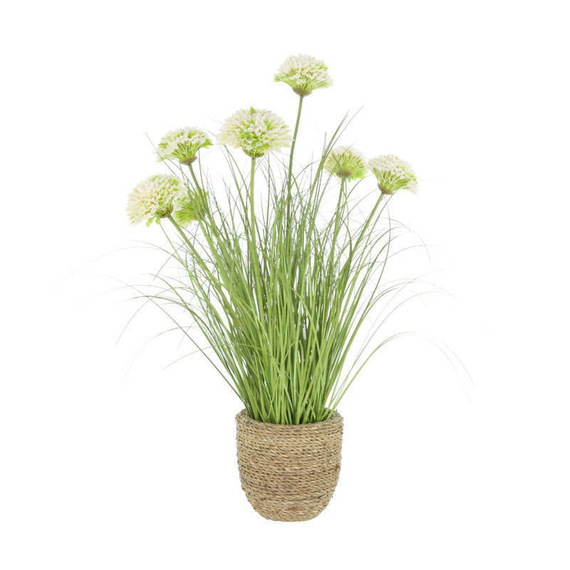 Dahlias and Grass in Rope Planter