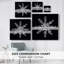Flocon de neige II-305011369
