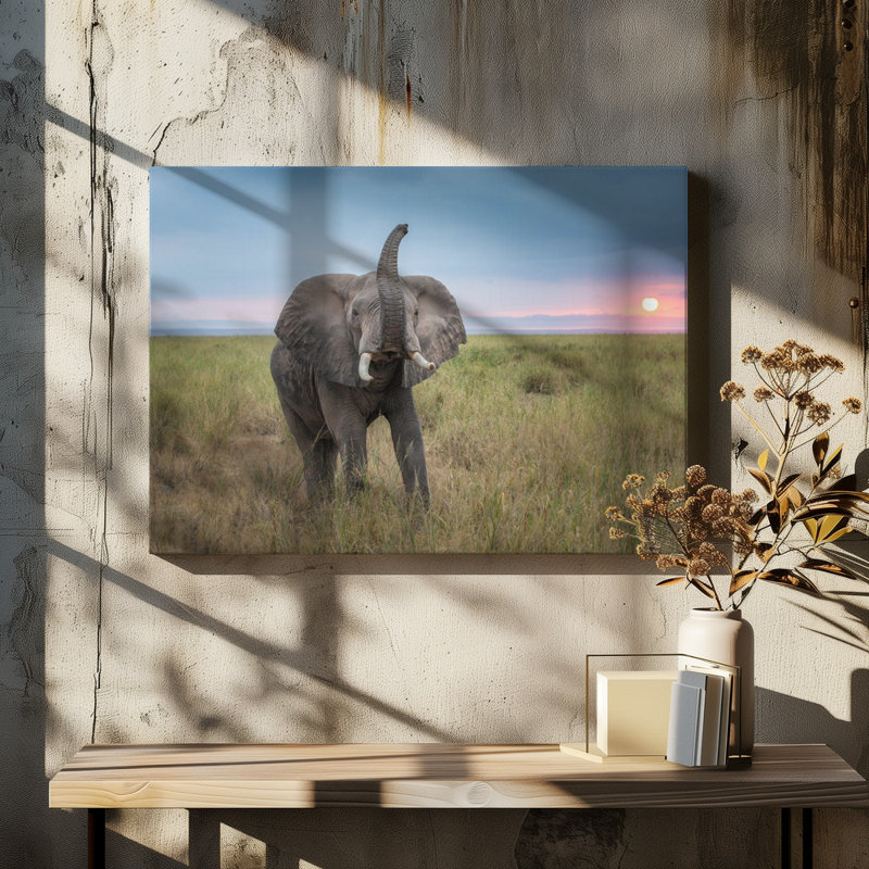 Wrapped Canvas Print, 76.2 cm H x 50.8 cm W
