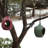Hanging Decorative Bird Feeder-1204893862