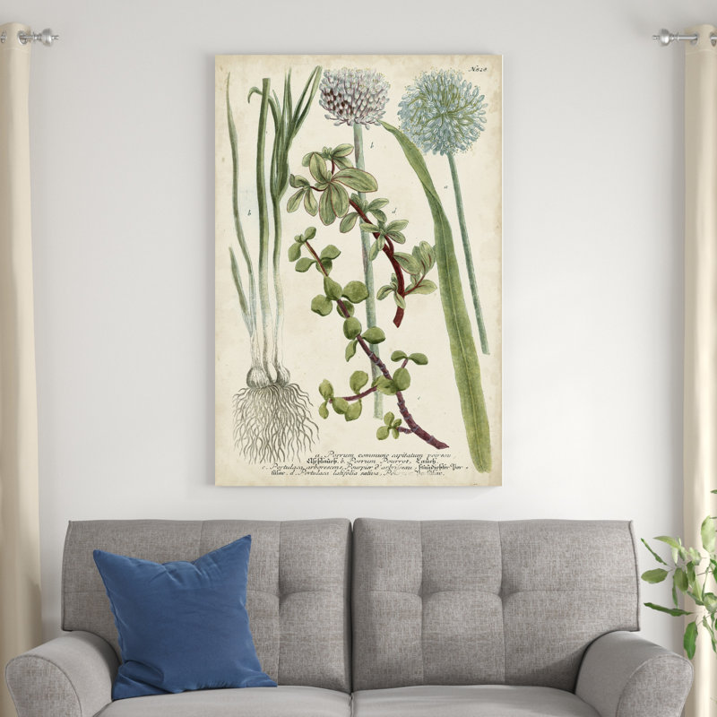 " Allium " by Weinmann Painting Print, 48" H x 32" W x 1.25" D