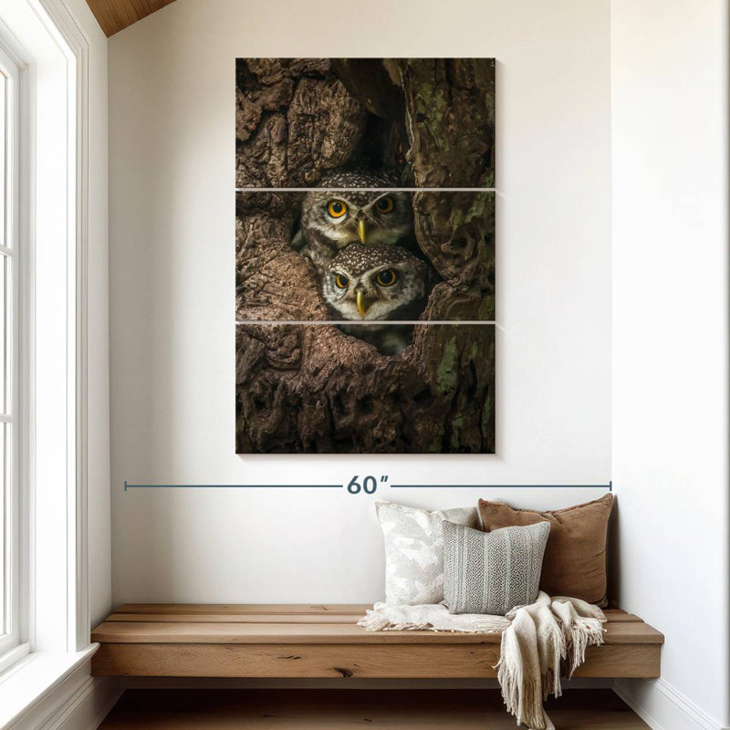 Owl Twins