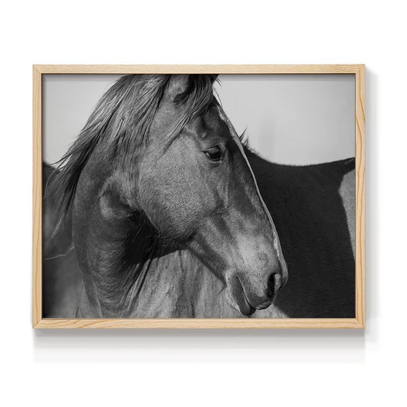 Cheval sauvage de Flint Hills - impression encadrée - réarmable, Naturel, H 11 po x l 14 po