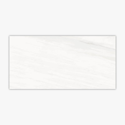 Dolomite White Matte 12x24 Porcelain Tile