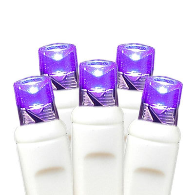 Ensemble de lumières de Noël de qualité commerciale à DEL The Aisle®, 4 pi x 6 pi, vert, fil blanc, 100 lumières