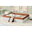 Queen Size Upholstered Daybed Frame With Fence And Stairs, Perfect For Comfort And Space-Saving In Modern Homes-525928661-525928657