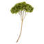 Natural Botanicals 15" Hydrangea with Multiple Branch Segments, Preserved-846458523