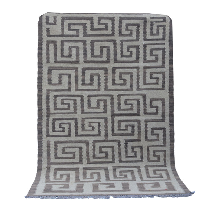 Cameika Hand Woven Grey Indoor Rug