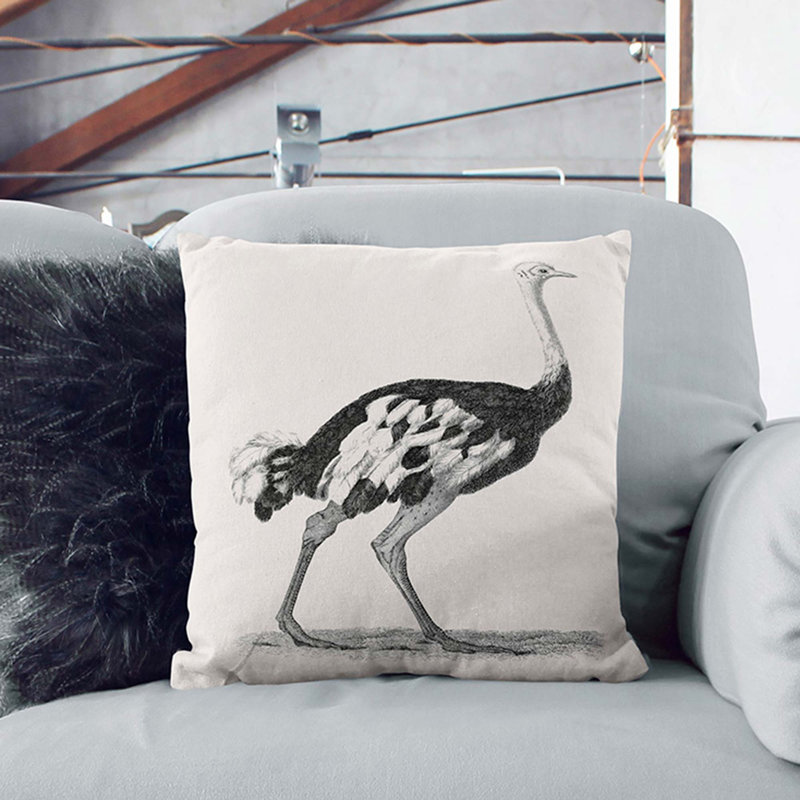 Square Throw Cushion, 55cm H x 55cm W x 20cm D