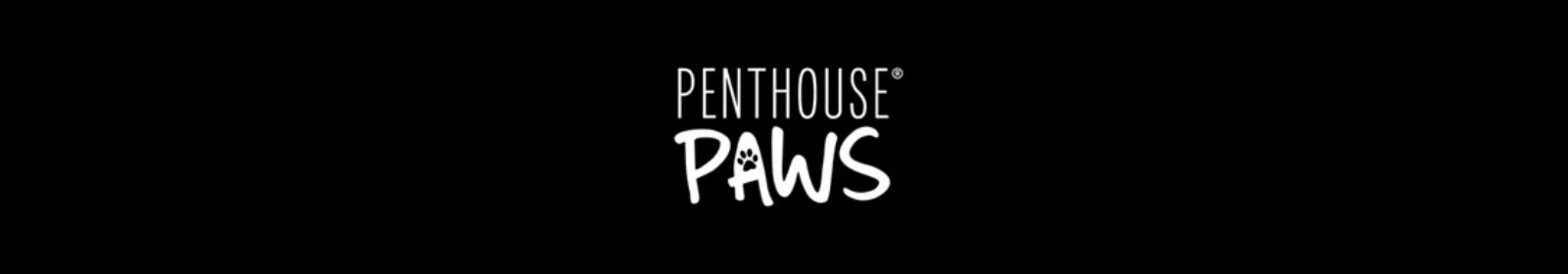 We believe that every pet deserves a life filled with love, care, and a touch of luxury.