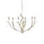 Menefee 6 - Light Chandelier