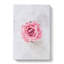 Lone Pink Rose Abstract - Wrapped Canvas-56667755
