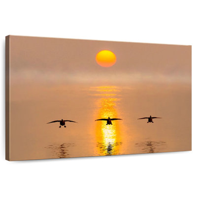 Brampt Flying Geese Over The River
