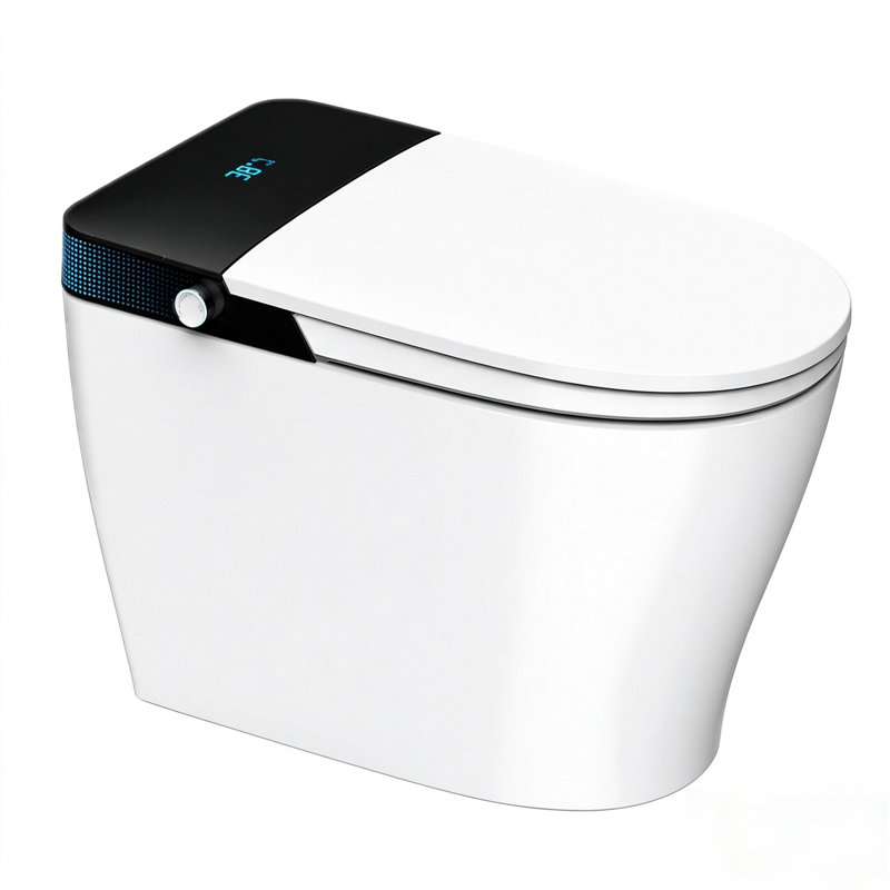 Toilette allongée intelligente avec bidet, chasse d'eau à jet siphon 1000, siège chauffant, séchoir à air chaud, chasse d'eau à pédale et télécommande