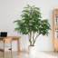 Arbre de saule artificiel 7 pi pour la décoration d'intérieur de maison, d'appartement ou de bureau