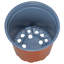 Nursery Pot-1246024123-1246024101
