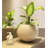 Florence Pot Planter-50346847-50341631