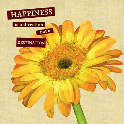 " Happiness Gerber Daisy "