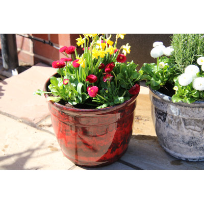 Kingsfield Plastic Indoor / Outdoor Pot Planter