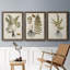 Fern Botanical IV - Ensemble de 3 peintures sur toile encadrées-1362442883-1362442894