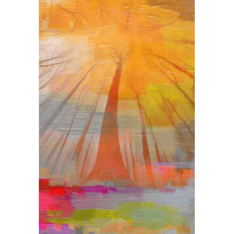 « gold from above » par parvez taj,, reproduction d’art sur toile tendue, 20 po x 30 p