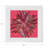 Pheasant Feathers Cotton Sateen Dinner Napkins-124988632