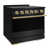 Black Stainless Steel/Polished Gold