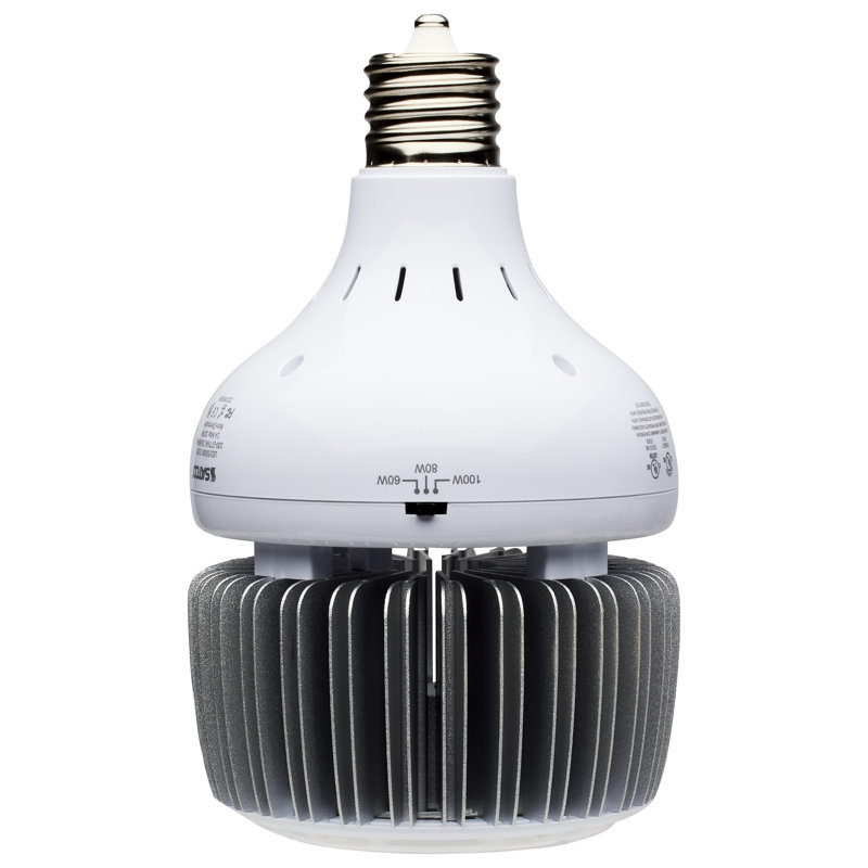 100 Watt White LED Bulb, 4000