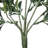 Rambling Arrangement-563142086-563142085