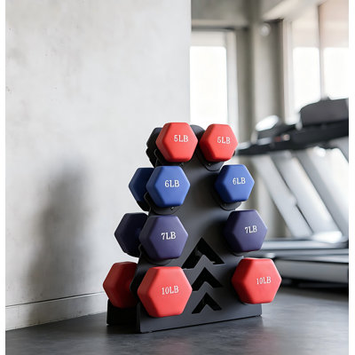 Dumbbell Storage Rack Weight Organizer Rack Only