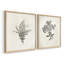 «Vintage Floral LXI», impression giclée sur cadre - ensemble de 2-1230941401-1230941392