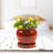 Handmade Ceramic Pot Planter