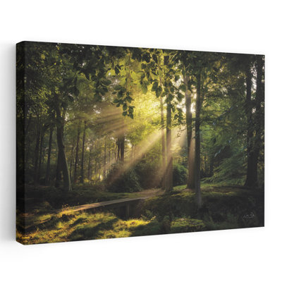 Bridge To The Light Abstract Contemporary Forest Landscape Art