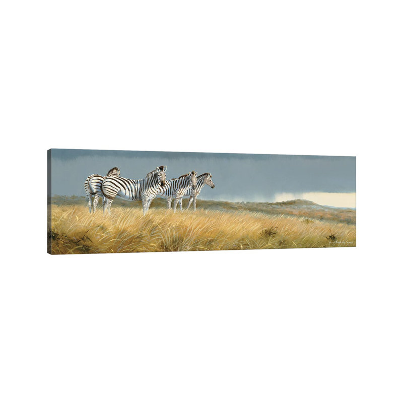 Zululand Zebras by Grant Hacking - No Frame Panoramic Gallery-Wrapped Canvas Giclée on Canvas, 30.48 cm H x 91.44 cm W
