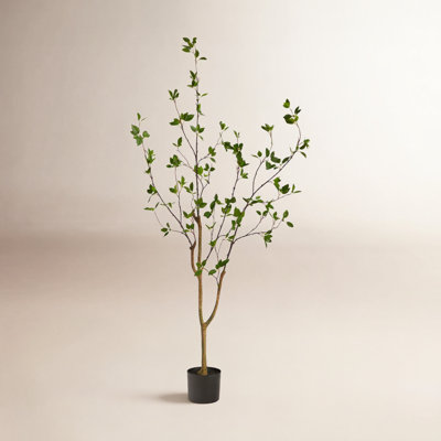 Citrus Tree with Base Included