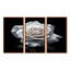 Casella - ensemble d'art mural rose-108455207-108455208