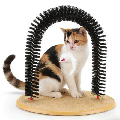 Durable Pvc Cat Scratcher & Groomer | Arch Design With Plush Mouse Toy & Scratch Mat