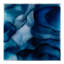 Tony Fey's Beyond The Blue Veil