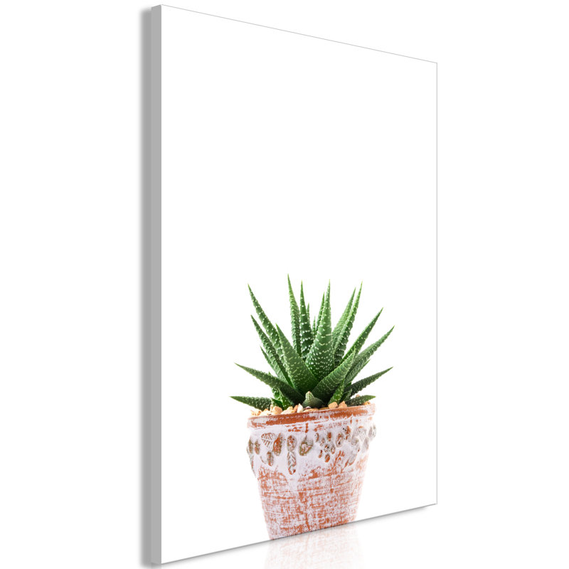 No Frame Print on Canvas, 40cm H x 60cm W