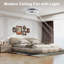 Ceiling Fan with LED Lights-1641347530