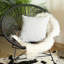 Housse de coussin en polyester -2117992437-2127500035-2127500036