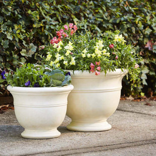 Jardinière 19 "Jean Pierre, Brownstone