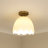 Shell Semi Flush Mount