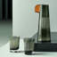 Parrot 3 - Piece Carafe Set