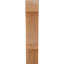 Genouillère Balboa-87145355-29309786-31228638