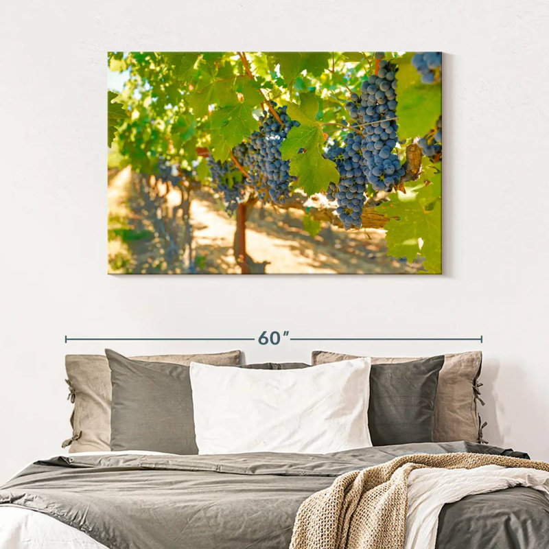 Raisins Yarlin Napa Valley, H 32 po x l 48 po