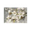 Magnolia Simplicity by Silvia Vassileva - Wrapped Canvas Painting-525659007-465488928