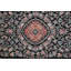Oriental Area Rug in Black