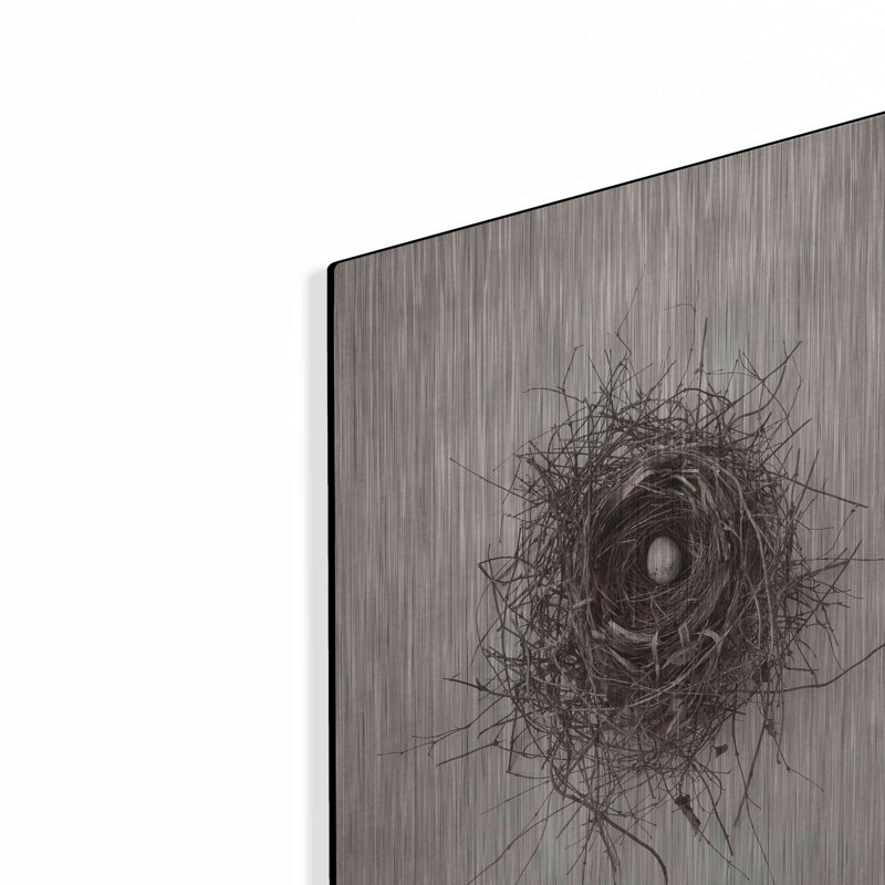 «Nest I» par Debra Van Swearingen, H 16 po x l 12 po